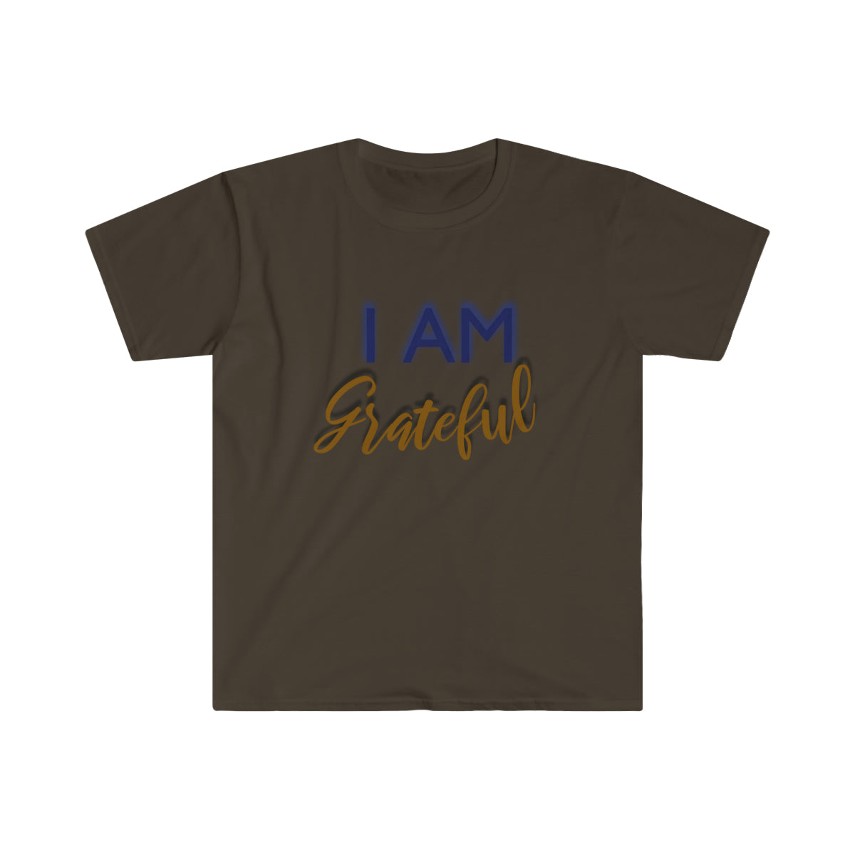 I AM GRATEFUL Softstyle T-Shirt